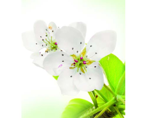 Desk Calendar DC28